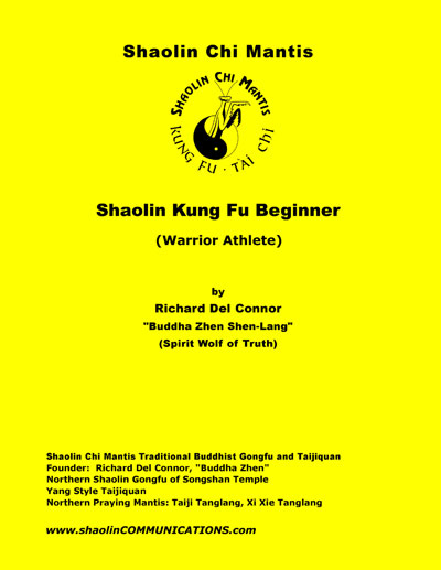 Beginner level Kung Fu book