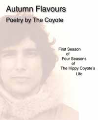 BOOK COVER of Autumn Flavours poetry book by The Hippy Coyote